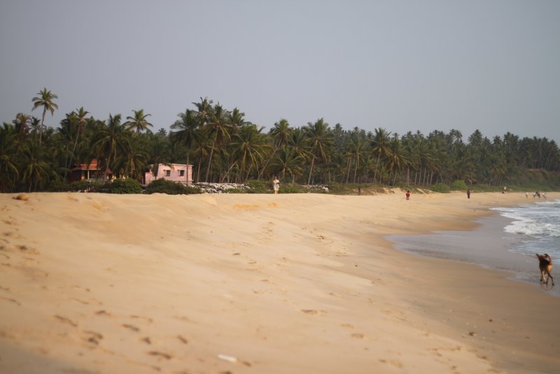 India 2010 - Kerala - Kannur - Costa Malabari - Costa Malabari Beach